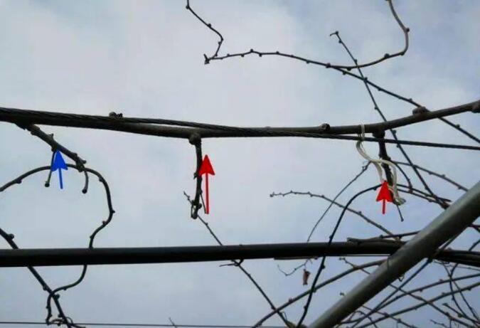 1720081314759001.jpg QQ截圖20240704160256.jpg